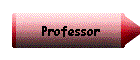 Professor