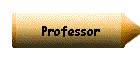 Professor